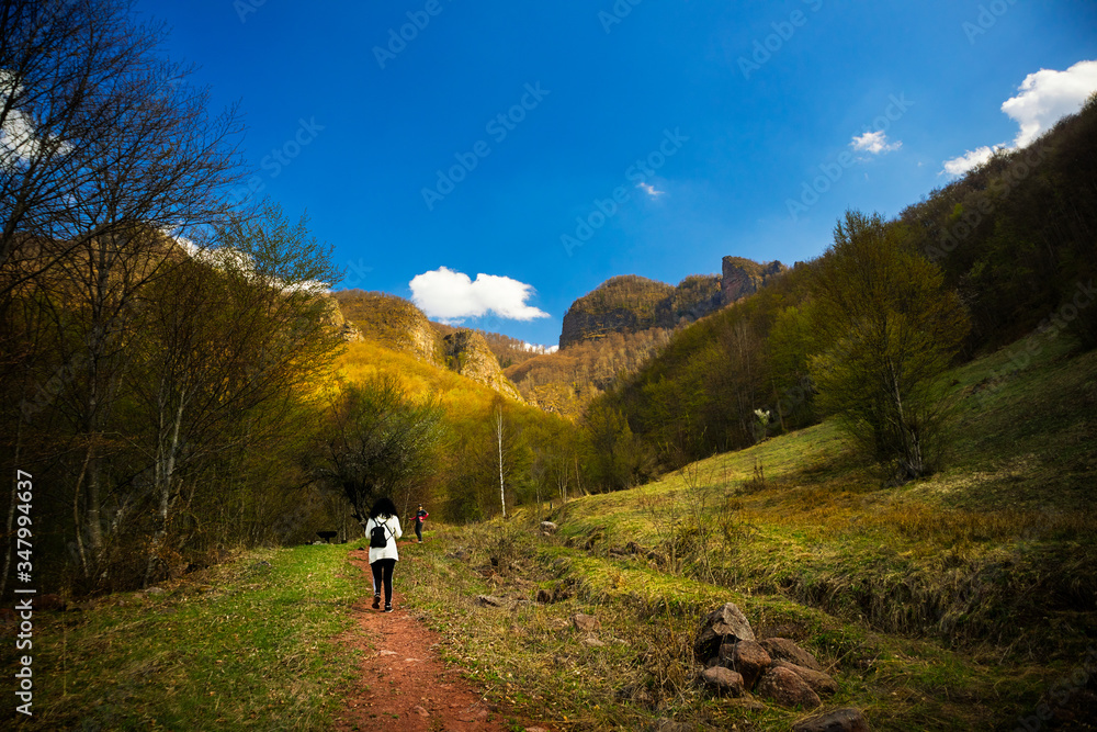 Fototapeta premium Group of hiker on old mountain (stara planina) in serbia at early spring