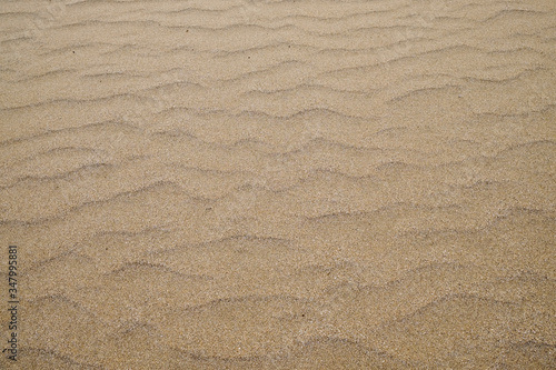 Clean large white sand beach background, empty with space for text.