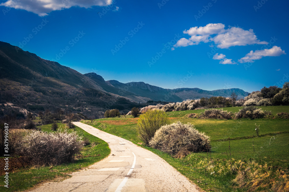 Road through forests and meadows on the old mountain (stara planina) in serbia at early spring