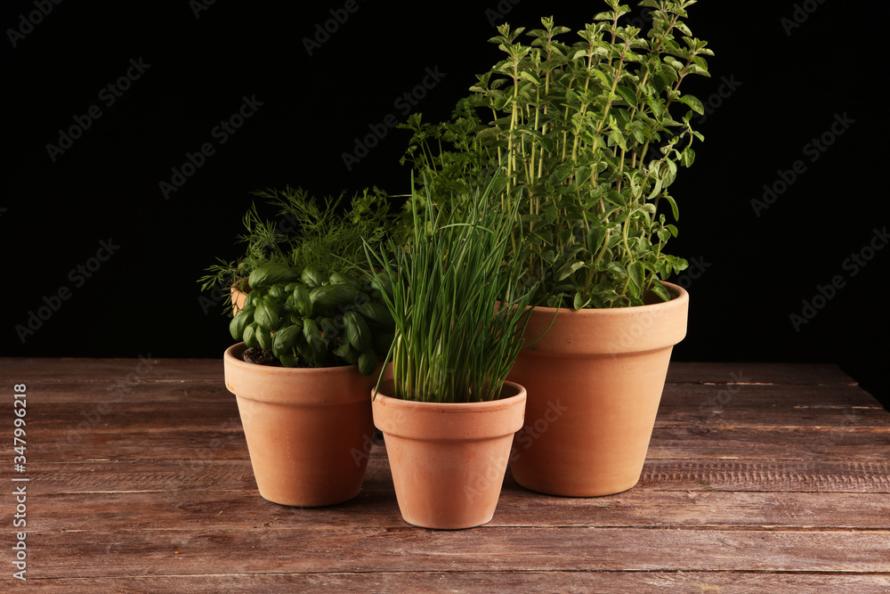 Fototapeta premium Homegrown and aromatic herbs in old clay pots. Set of culinary herbs. Green growing fres chives, oregano, dill, basil and parsley