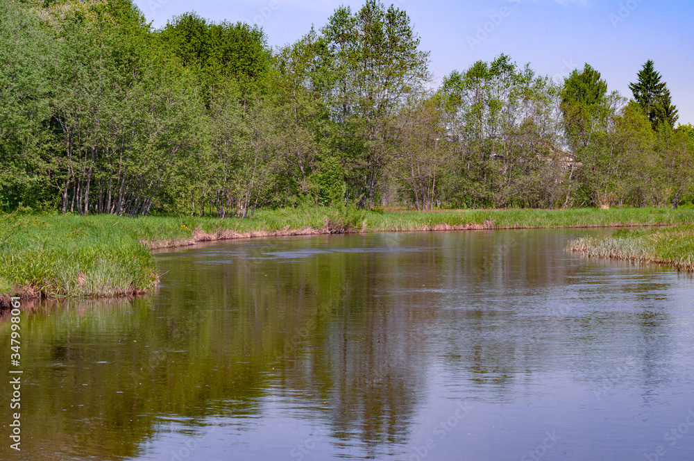 A quiet, small river, with overgrown shrubs and trees, hot May spring noon A quiet, small river, with overgrown shrubs and trees, hot May spring noon