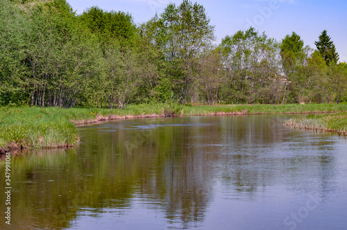 A quiet, small river, with overgrown shrubs and trees, hot May spring noon