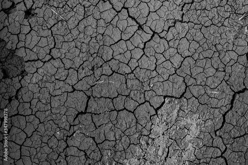 Dry ground cracked from drought. black and white