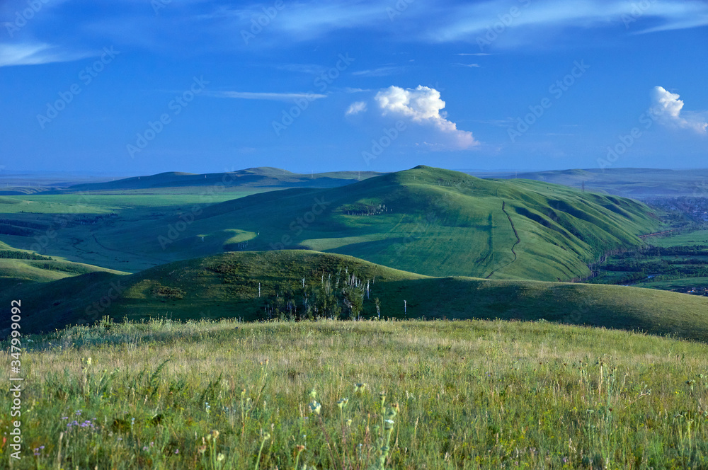 Fototapeta premium Distant green hills and flowering stapes. Zabaykalsky Krai. Russia.