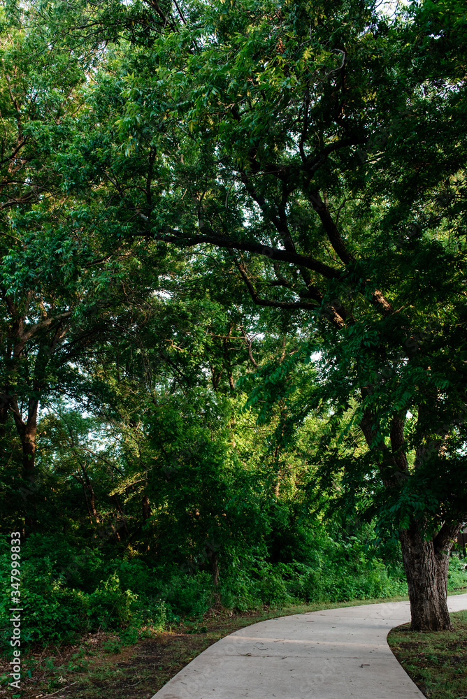 Tree-lined greenbelt running along Live Oak Creek in McKinney, Texas, a northern suburb of Dallas, Texas.