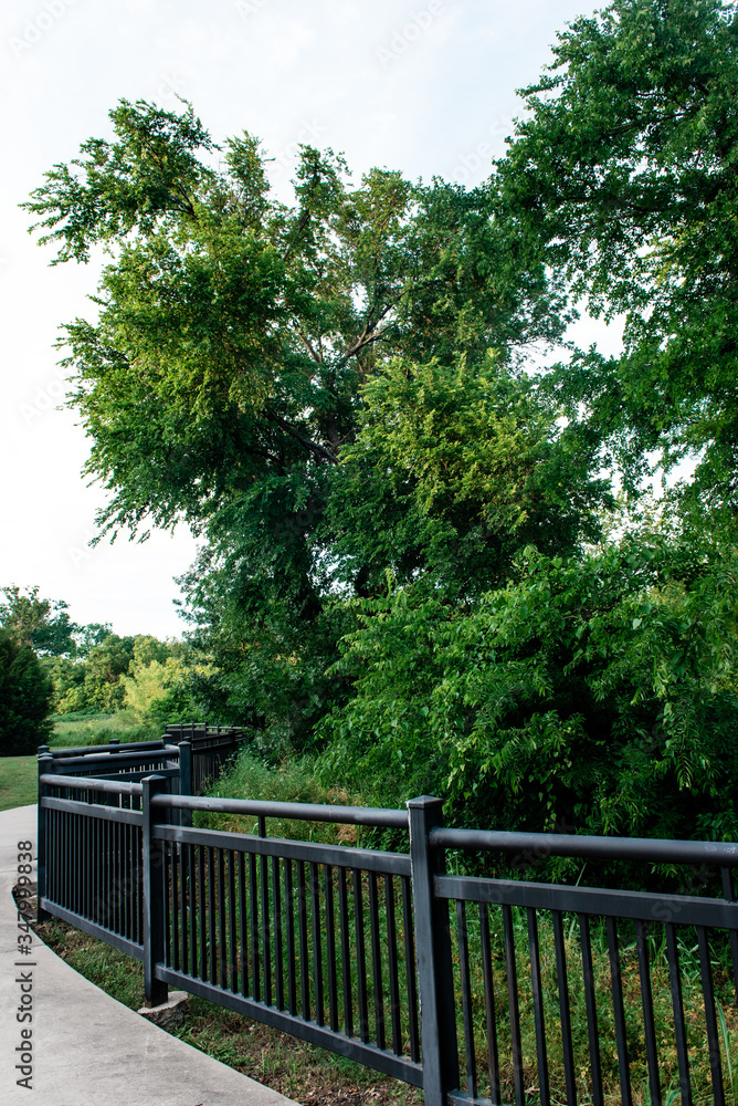Tree-lined greenbelt running along Live Oak Creek in McKinney, Texas, a northern suburb of Dallas, Texas.