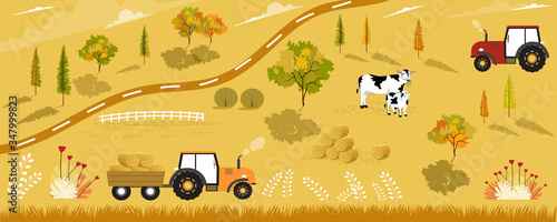 Set Autumn harvest. Vector isolated, Flat cartoon illustration, harvested field with tractor,cows,straw bales,wooden fence, trees, flower, grass and clouds,  farmlands in fall season in orange foliage