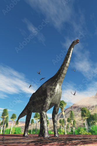 Cetiosaurus Dinosaur - Cetiosaurus herbivorous dinosaur is surrounded by Dorygnathus Pterosaur birds during the Jurassic Period.