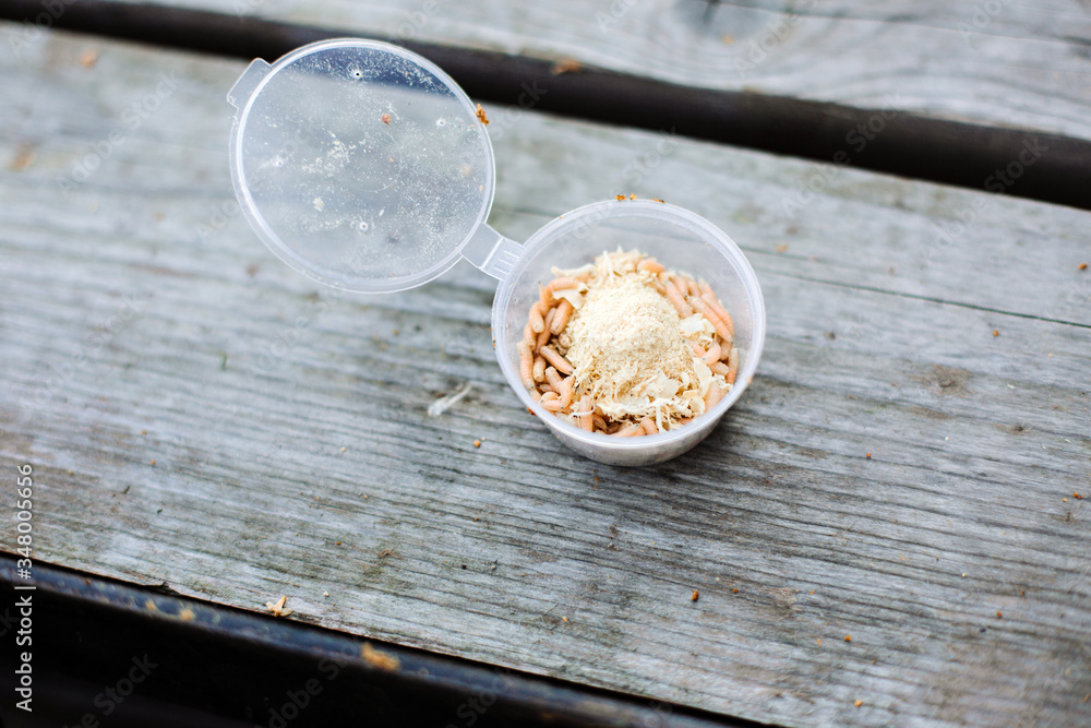 Plastic container with sawdust and maggots for fishing on a wooden pier. Preparing for fishing. Close up. Plastic container with sawdust and maggots for fishing on a wooden pier. Preparing for fishing. Close up.