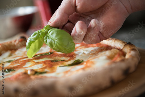 Pizza Margherita, mano che posa foglie di basilico