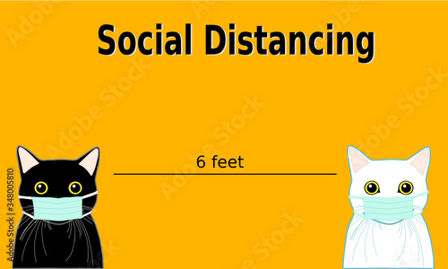 social distancing. black cat and white cat wear medical face mask. stay 6 feet away to prevent virus (covid-19).	
 photo