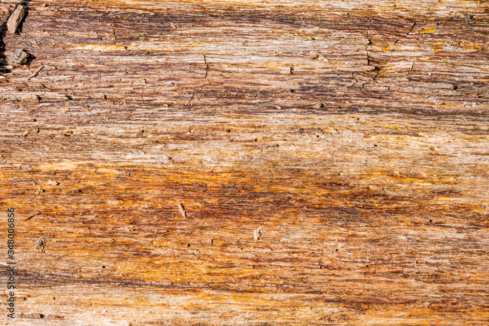Background texture: horizontal wood grain Background texture: horizontal wood grain