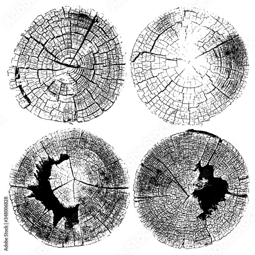 Distressed overlay texture of old tree stumps, rough round surfaces, rings on tree. Grunge backgrounds. One color graphic resources.