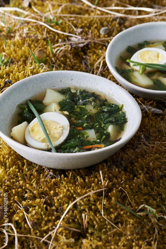 vegetable soup with nettle 