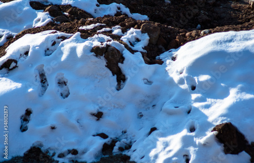 Natural winter background with fresh snow texture at Nathatop, Patnitop Jammu
 photo