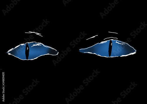 Kocie oczy © Bernadeta