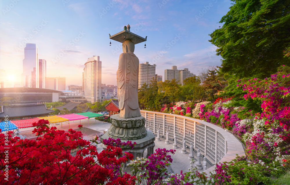 Sunrise of Bongeunsa Temple in Seoul South Korea - obrazy, fototapety, plakaty 