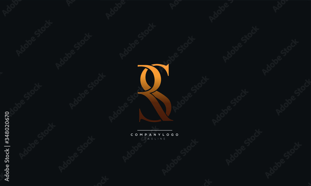 RS SR R S Letter Logo Alphabet Design Icon Vector Symbol RS SR R S Letter Logo Alphabet Design Icon Vector Symbol