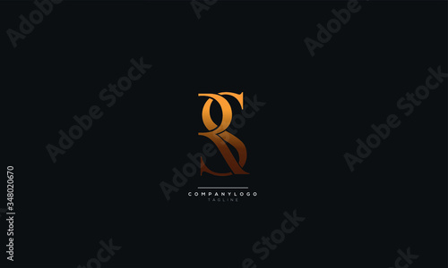 RS SR R S Letter Logo Alphabet Design Icon Vector Symbol photo