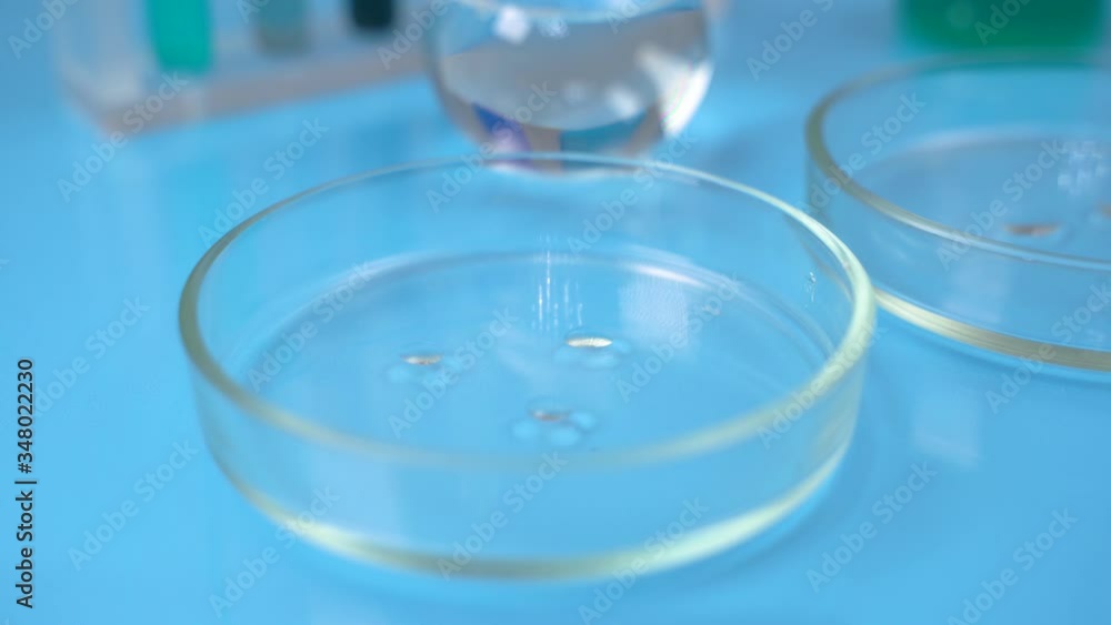 Close-up microbiologist dripping liquid from the pipette into the Petri dish. Laboratory Equipment Scientific Research. Close-up microbiologist dripping liquid from the pipette into the Petri dish. Laboratory Equipment Scientific Research.