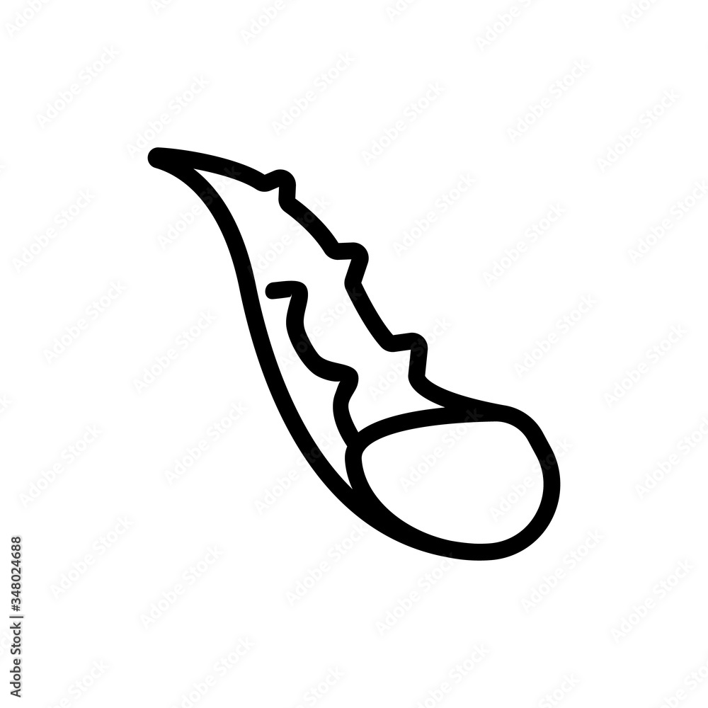 sliced aloe vera icon vector. sliced aloe vera sign. isolated contour symbol illustration sliced aloe vera icon vector. sliced aloe vera sign. isolated contour symbol illustration