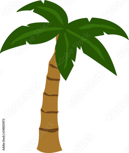 palm southern tree for the island vector drawing