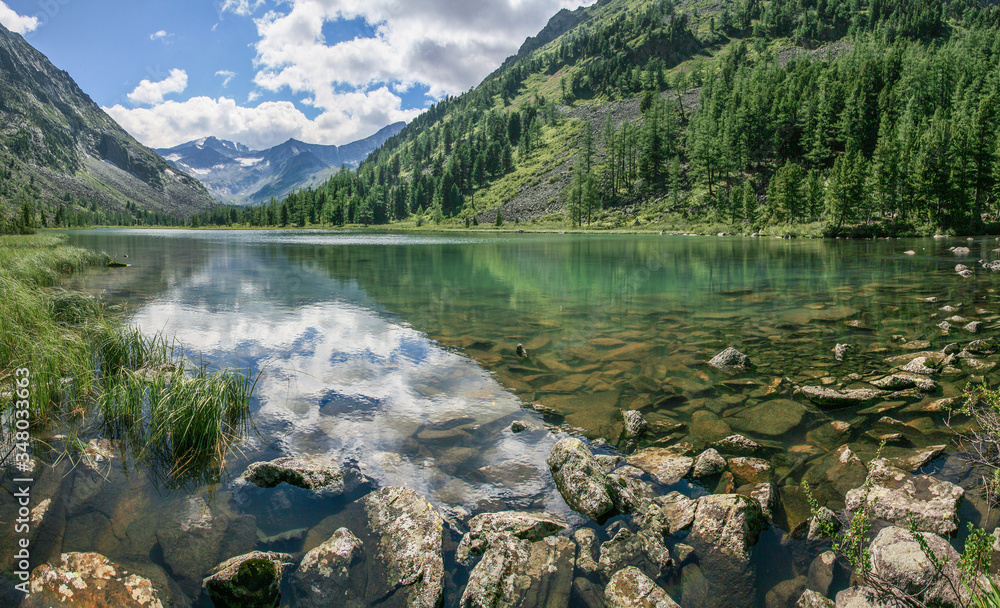 Plakat Picturesque mountain lake. Daylight reflected in the water. Forested slopes, stony bottom. Wild place in Siberia.