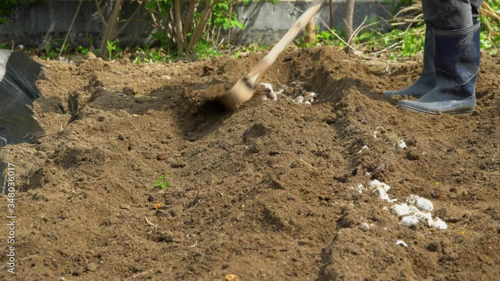 Gardener in early spring to dig compost heap soil with Senkichi family hoe tool (Korean traditional tool) for planting vegetable Gardener in early spring to dig compost heap soil with Senkichi family hoe tool (Korean traditional tool) for planting vegetable