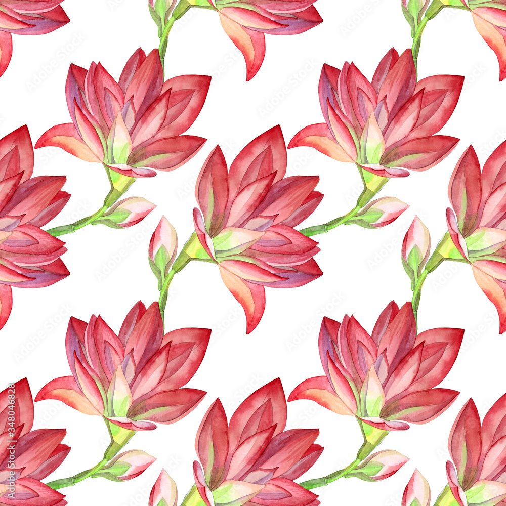 Seamless pattern watercolor hand-drawn pink flower blossom lily with petals and buds on white background art creative wrapping or textile