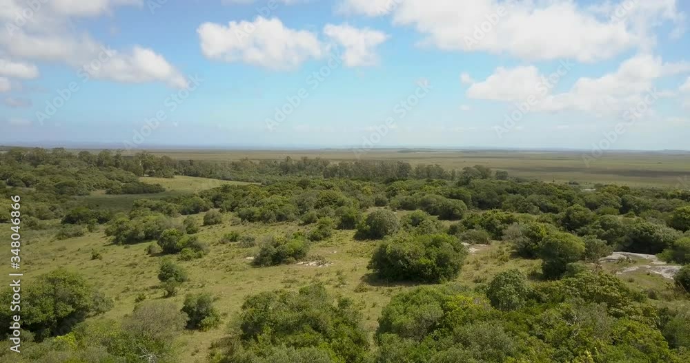Aerial view of lots full of trees and vegetation, next to the sea, Rocha, Uruguay. Aerial view of lots full of trees and vegetation, next to the sea, Rocha, Uruguay.