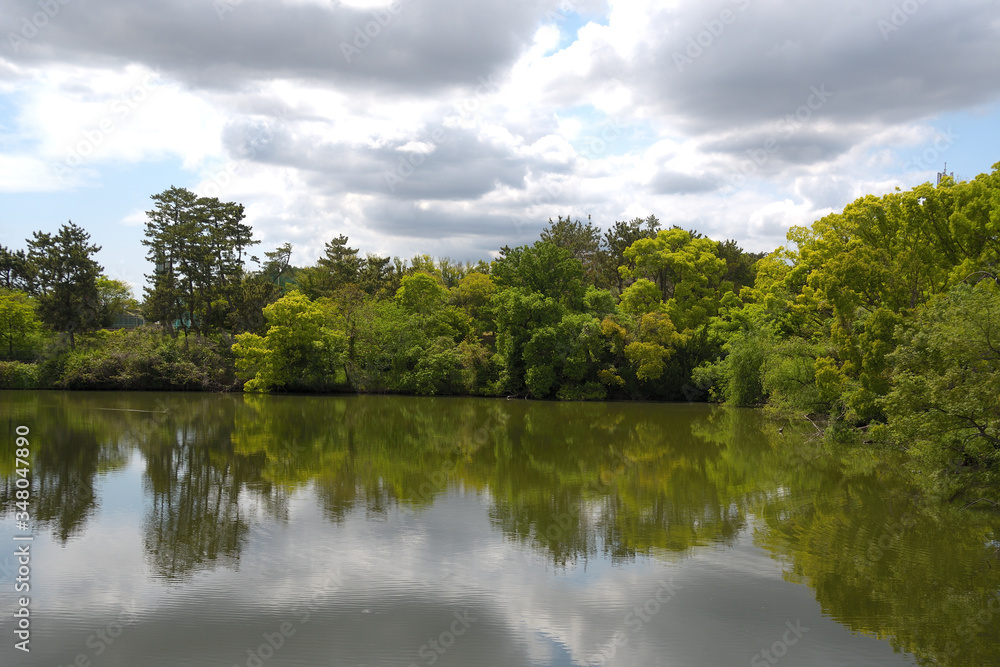 若葉が繁る木々に囲まれた池の上空に、分厚い雲が連なっている風景