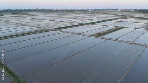 夕日に照らされた水田