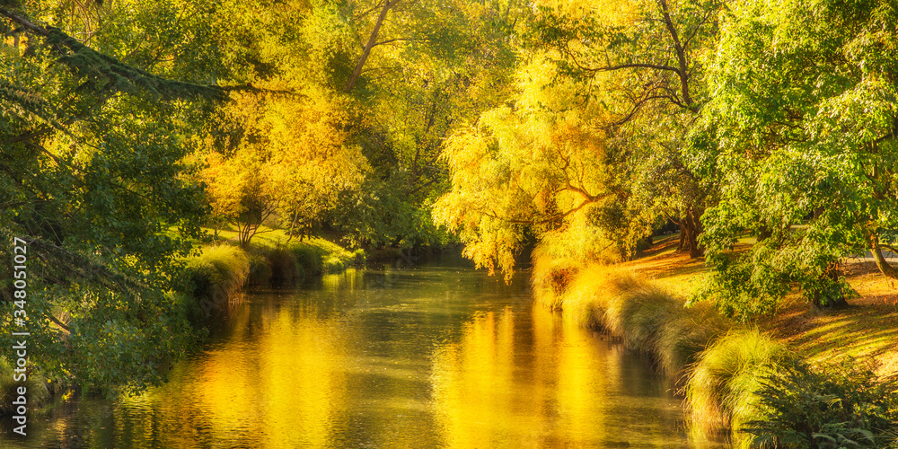 Fototapeta premium Autumn color nature landscape in garden with water river stream. Fall season background.