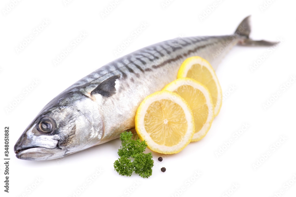 Mackerel fish on white background