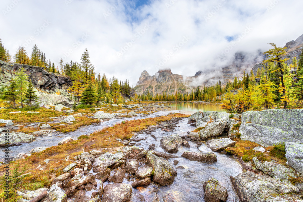 Obraz premium Autumn at Lake O'Hara in Canadian Rockies With Yukness Mountain on Moor Lakes