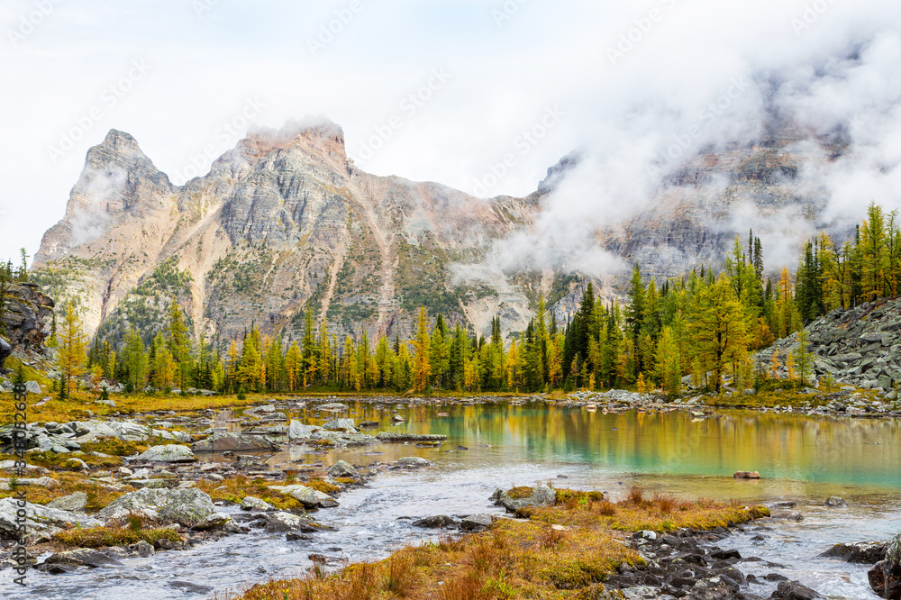 Autumn at Lake O'Hara in Canadian Rockies With Yukness Mountain on Moor Lakes