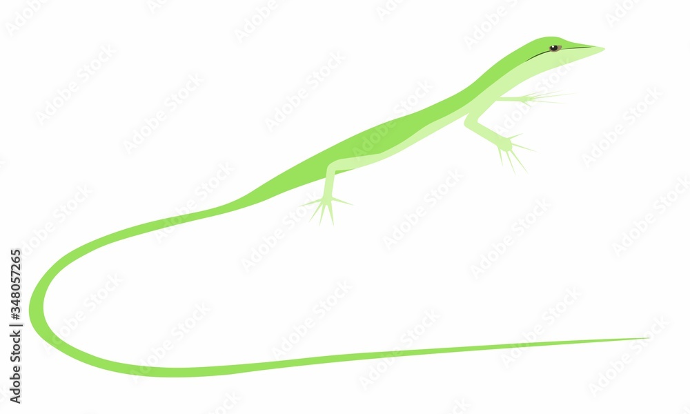 サキシマカナヘビ Images Browse 12 Stock Photos Vectors And Video Adobe Stock サキシマカナヘビ Images Browse 12 Stock Photos Vectors And Video Adobe Stock