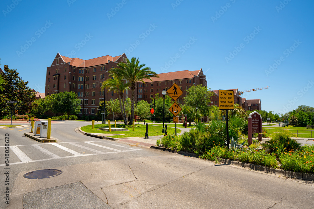 Florida State University campus landscape scene