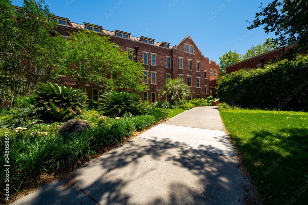 Florida State University campus garden landscape