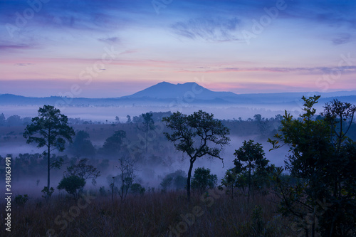 Fototapeta Naklejka Na Ścianę i Meble -  Tropical rain forest during sunrise with foggy beautiful landscape view.