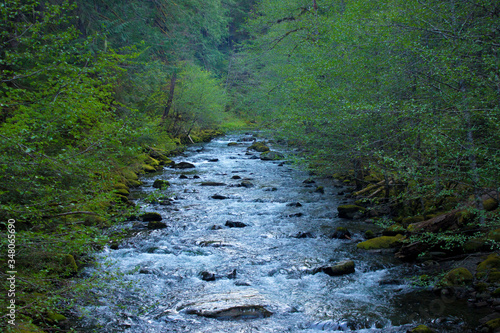 Big Collawash River with Whitecaps Looking Upstream from Bridge at Bagby Hot Springs in Mt. Hood National Forest, Oregon photo