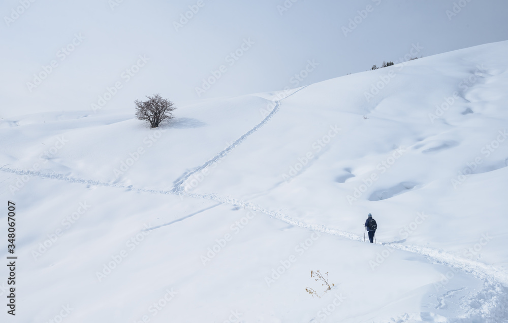 A woman walks up the path in winter