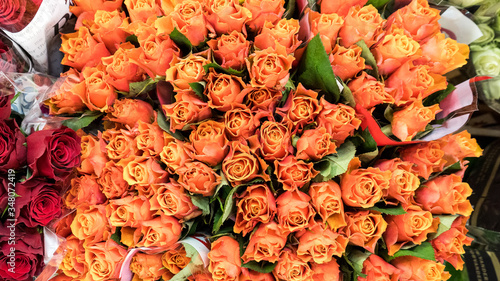 orange roses top dow view photo