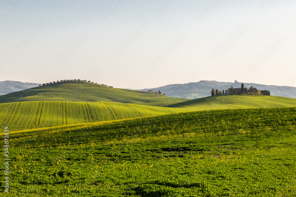 Beautiful Tuscany landscape in spring time with wave green hills and isolated trees and farmhouses. Tuscany, Italy, Europe