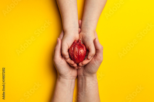 Fototapeta Naklejka Na Ścianę i Meble -  Saving life is heart transplant. Hands hold organ on yellow background, concept.