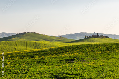 Beautiful Tuscany landscape in spring time with wave green hills and isolated trees and farmhouses. Tuscany, Italy, Europe © Massimo