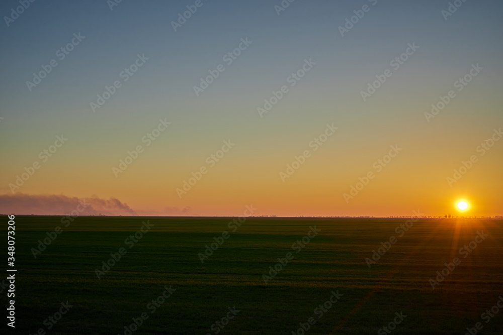 Image of a field of young wheat at sunset. Image of a field of young wheat at sunset.