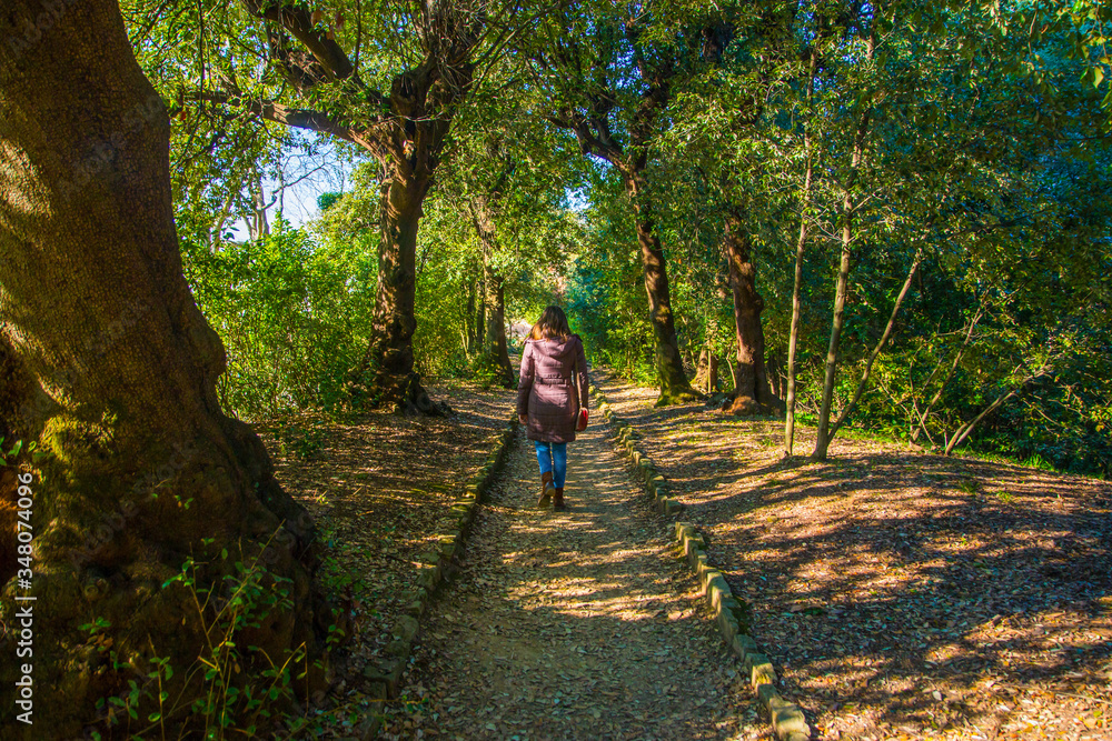 Shady path in the forest with girl walking