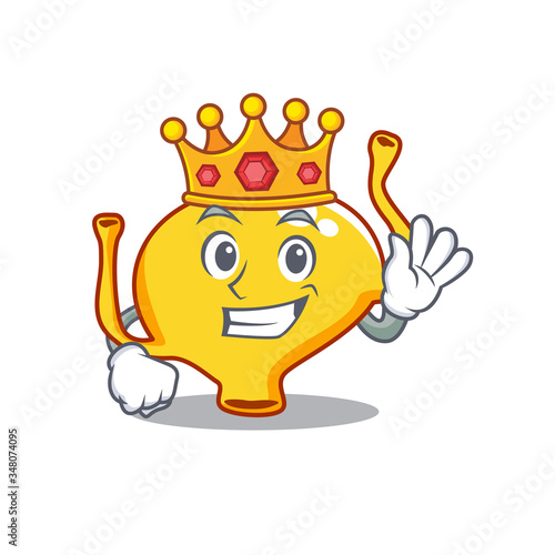 A Wise King of bladder mascot design style