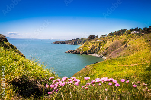 Obraz na plátne Irish sea cliffs with flowers